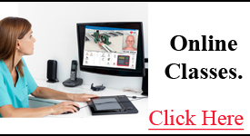 online classes tampa